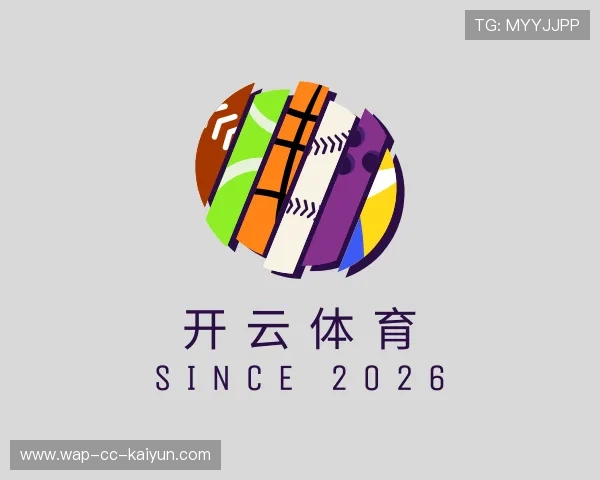 了解开云体育下载